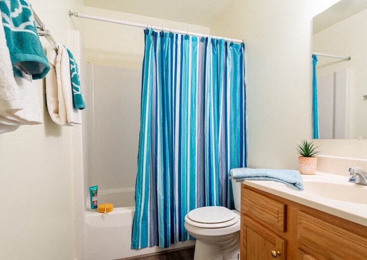 Apartments in South Bend Bathroom